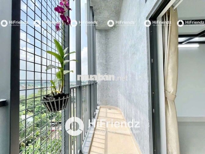 CĂN HỘ - CHUNG CƯ CAO CẤP GIÁ RẺ - FULL NT - 2 BAN CÔNG -GẦN AEON BTÂN