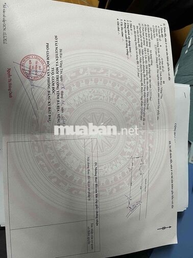 bán nhà giá bằng 50% thị trường