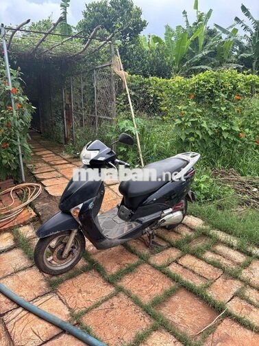 Honda Lead 2009 Đen