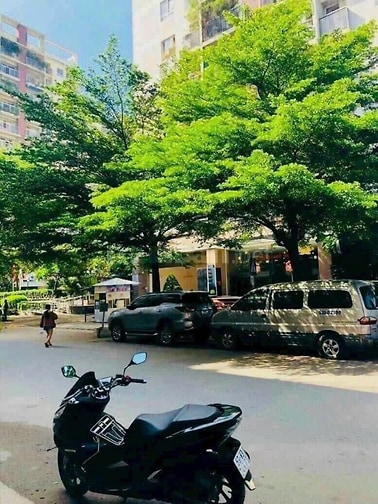 Bán nhà rộng HXH (5,8x13,5) 345/20 Nguyễn Văn Công P3 Gò Vấp (BV175)