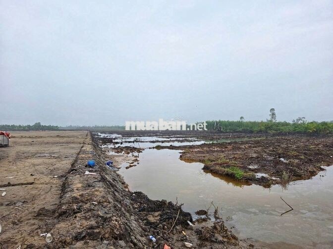 BÁN ĐẤT KHU CÔNG NGHIỆP TÂN PHƯỚC – ĐỒNG THÁP MỚI