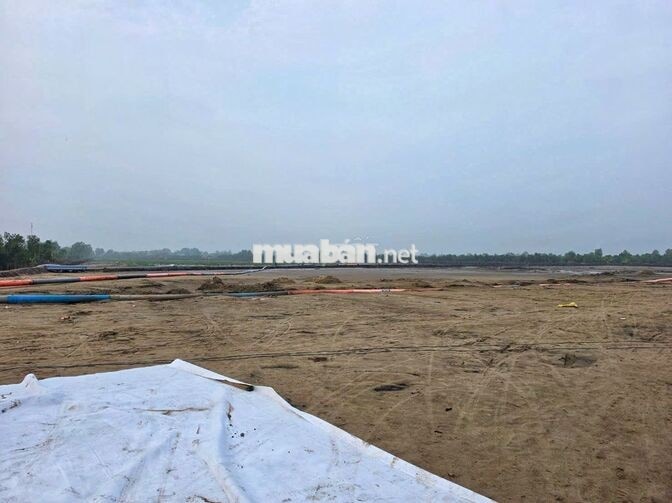 BÁN ĐẤT KHU CÔNG NGHIỆP TÂN PHƯỚC – ĐỒNG THÁP MỚI