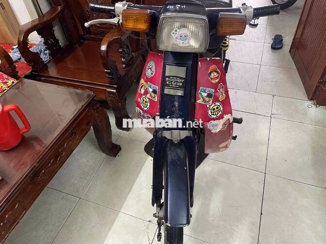 Super Cub Xe , Xanh đậm