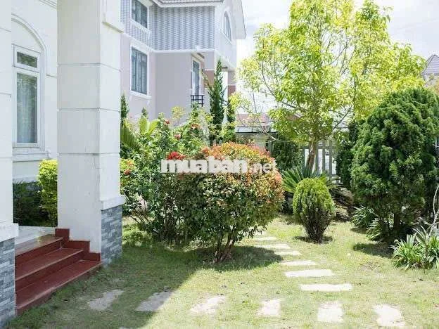 Cho thuê biệt thự Vip 30 triệu DIC An Sơn trung tâm Đà Lạt