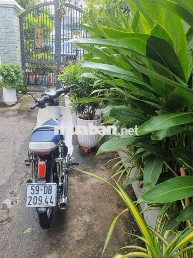 Xe máy Super Cub 50cc Đài Loan Đen, Trắng, Xanh