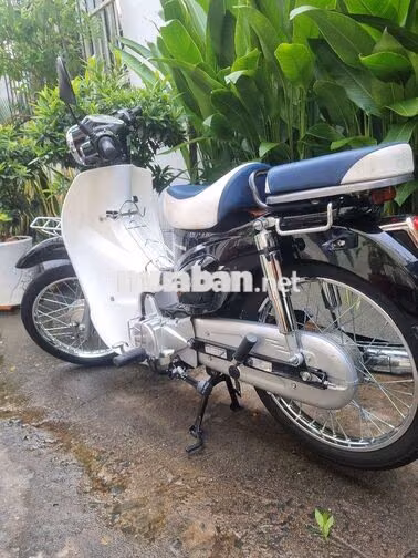 Xe máy Super Cub 50cc Đài Loan Đen, Trắng, Xanh