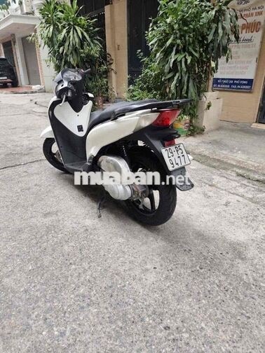 Honda SH Trắng