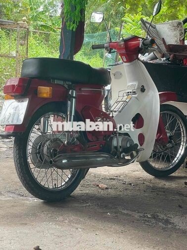 Honda Cub Cổ điển Đỏ Trắng