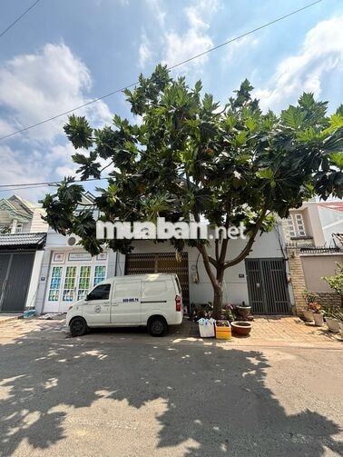 Chính Chủ Bán Đất 12x 25m tại Tân Phong- Giá 8.2 tỷ