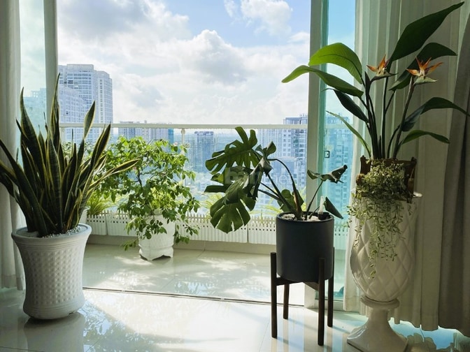 Penthouse New Saigon 300m2 bán nhanh giá 7,6 tỷ
