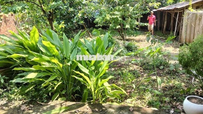 Bán nhà chính chủ đường số 43 KCN sonadezi 