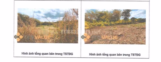 BÁN ĐẤU GIÁ TS VIB L11_ẤP DÊN DÊN, TT TÂN PHÚ, ĐỒNG PHÚ, BÌNH PHƯỚC