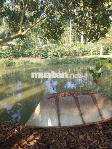 Bán 3 sào đất, thổ cư 400m2, có nhà cấp 4