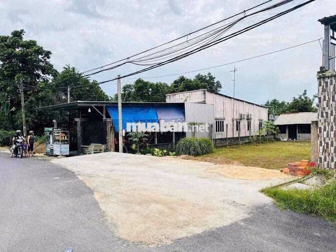 🔥 GIÁ NGỘP 700TR – 354M² FULL THỔ CƯ – CẦN BÁN NHANH