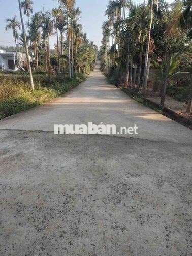 Bán 3 sào đất, thổ cư 400m2, có nhà cấp 4