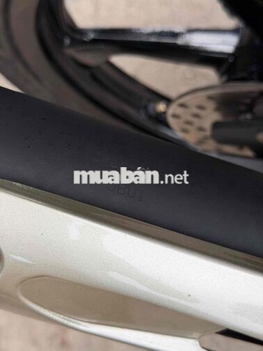 Yamaha Ya cá mập Trắng Mới 100%
