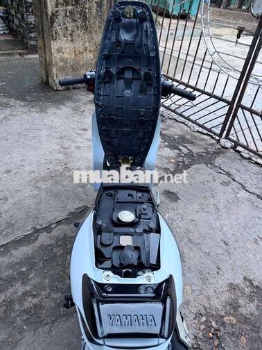 Yamaha Ya cá mập Trắng Mới 100%