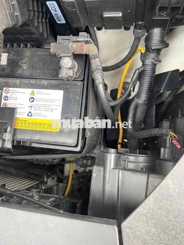 Kia Grand Sedona Trắng 7 chỗ Xe gia đình