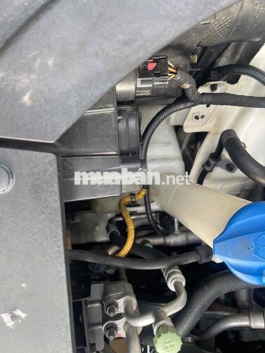 Kia Grand Sedona Trắng 7 chỗ Xe gia đình