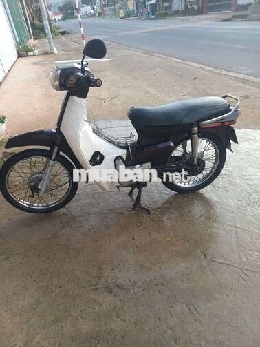 Honda Wave Alpha 2024 Trắng Nâu