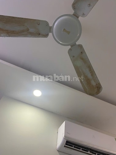 Cho nhân viên văn phòng hoặc sinh viên thuê phòng