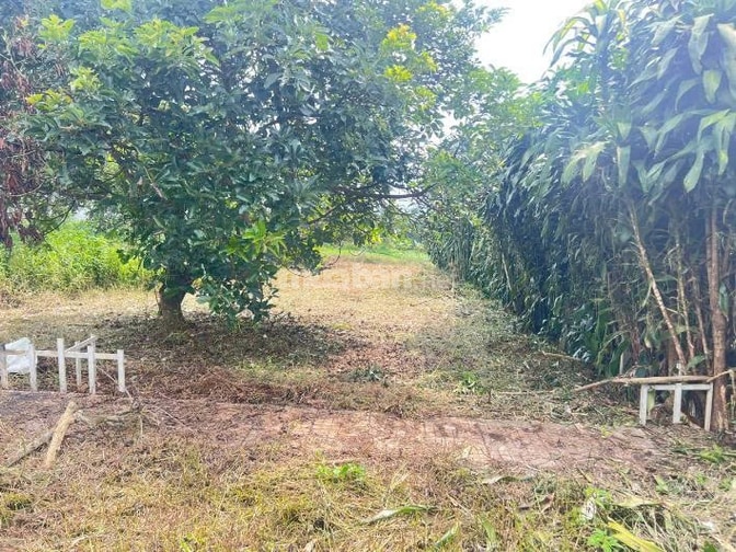 Bán đất Lộc An Bảo Lâm 104,8m2 đất ở đường 5m giá 439 triệu