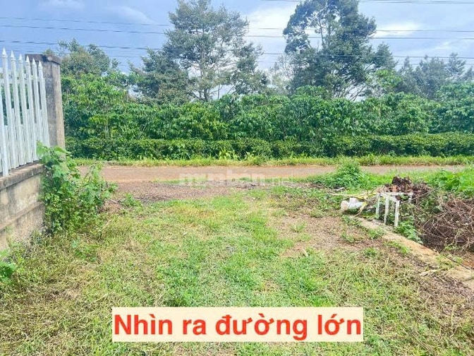 Bán đất Lộc An Bảo Lâm 104,8m2 đất ở đường 5m giá 439 triệu