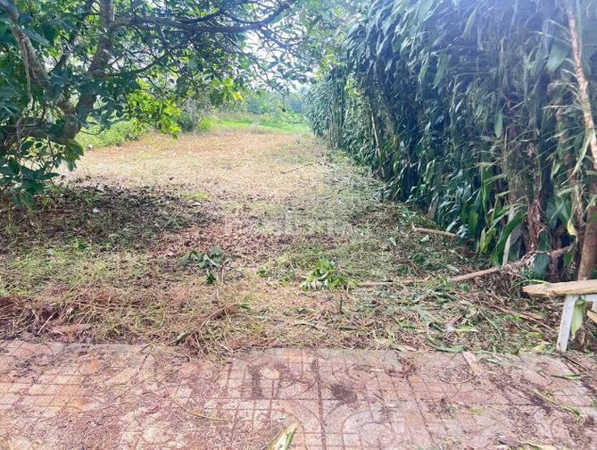 Bán đất Lộc An Bảo Lâm 104,8m2 đất ở đường 5m giá 439 triệu