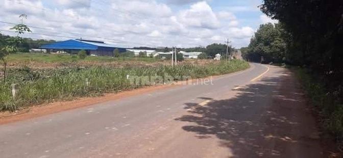 Đất xây trọ cách QL13 đúng 500m, giữa KCN Minh Hưng & Becamex 