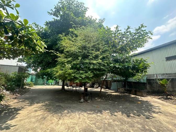 CHO THUÊ 1.000m2 Đất trống. Hẽm LÊ TRỌNG TẤN. Tân Phú