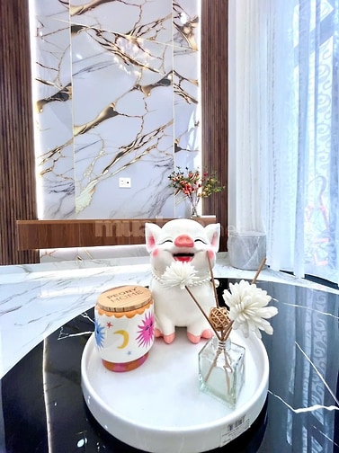 Sổ hồng chính chủ nhà đẹp có hoàn công đầy đủ thích hợp ở và cho thuê