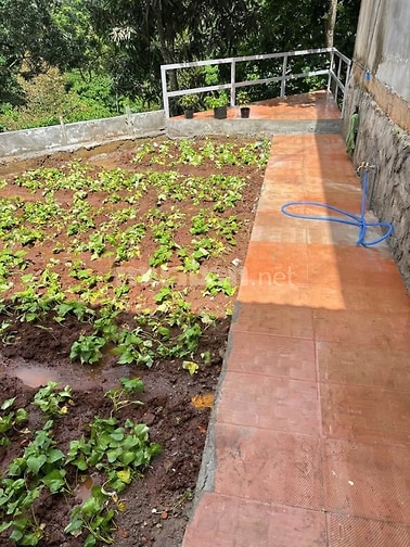 Nhà vườn gần BV Đa khoa Củ Chi 297m2 (9x31) Nguyễn Văn Khạ, sổ riêng