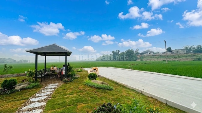 Chỉ với hơn 200 triệu 1 lô đất đẹp tại Lac Thủy Hòa Bình 