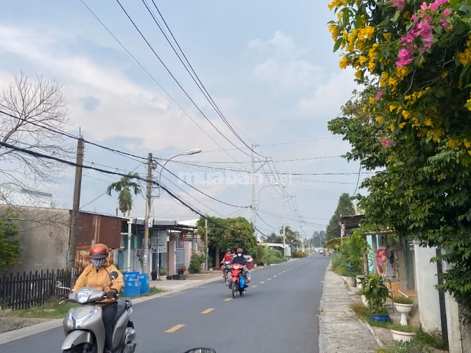 Bán nhà cấp 4, 154m2 5x31, Nguyễn Thị Lắng, BV Xuyên Á, 1,35 tỷ, SHR