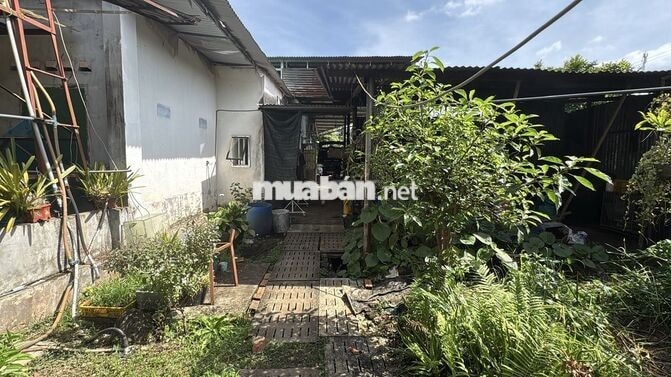 Chính chủ bán đất mặt tiền Quốc lộ 20 - La Ngà, Định Quán, Đồng Nai