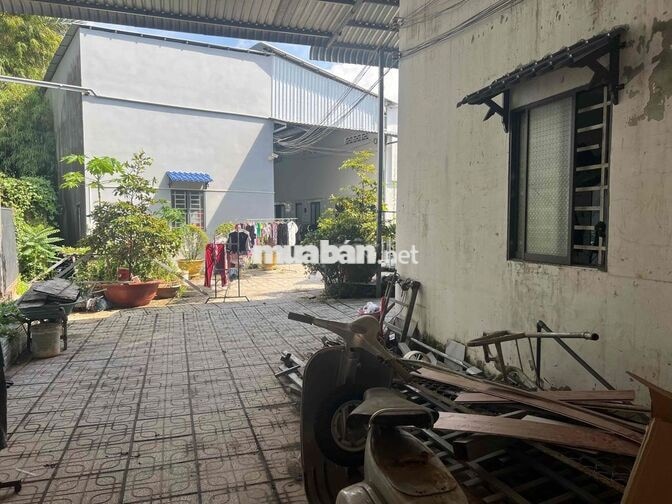 TS: Nhà ở và 01 Khu nhà Nghỉ 22 phòng; 01 khu Trọ 40 phòng đang