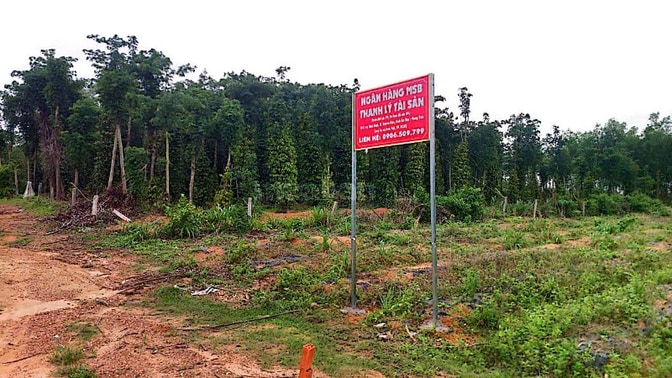 Công ty Đấu giá hợp danh Lam Sơn Sài Gòn thông báo đấu giá tài sản