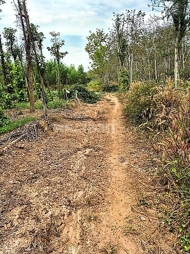 Công ty Đấu giá hợp danh Lam Sơn Sài Gòn thông báo đấu giá tài sản