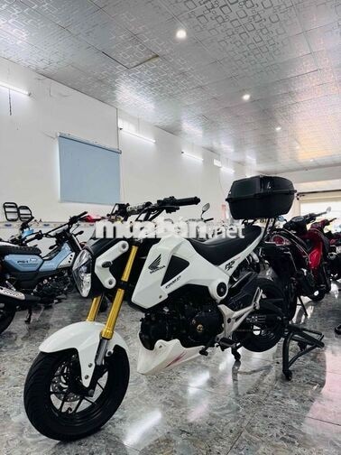 Honda MSX125 Trắng Thái Lan