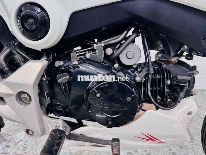 Honda MSX125 Trắng Thái Lan