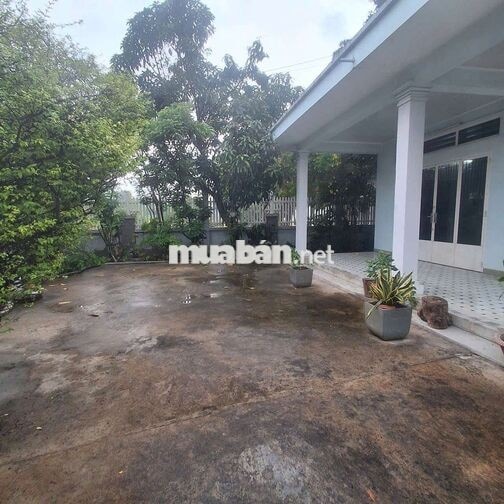 CHO THUÊ NHÀ DT 500M MẶT TIỀN 13TRIEU 