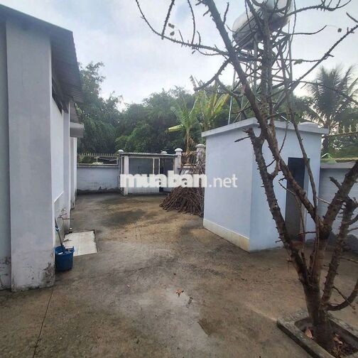 CHO THUÊ NHÀ DT 500M MẶT TIỀN 13TRIEU 