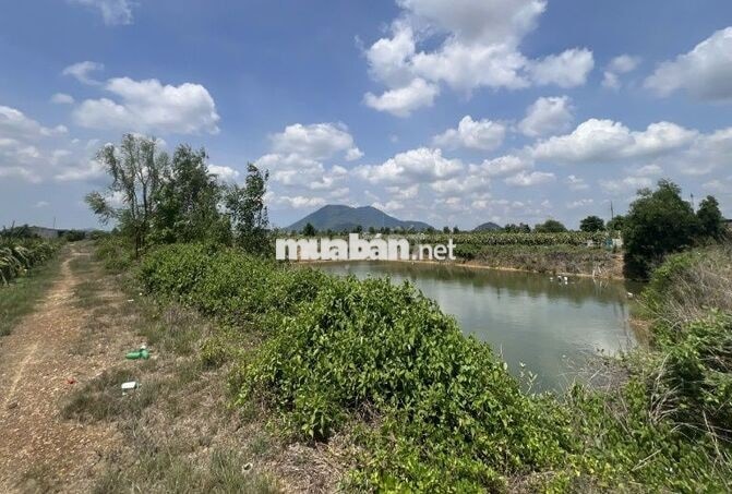 Đất vườn thanh long 32.970 m² tại Hàm Minh, Hàm Thuận Nam