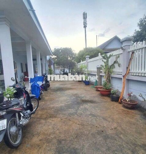 CHO THUÊ NHÀ DT 500M MẶT TIỀN 13TRIEU 