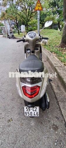 Yamaha Grande Vàng đồng Tự động Đèn LED