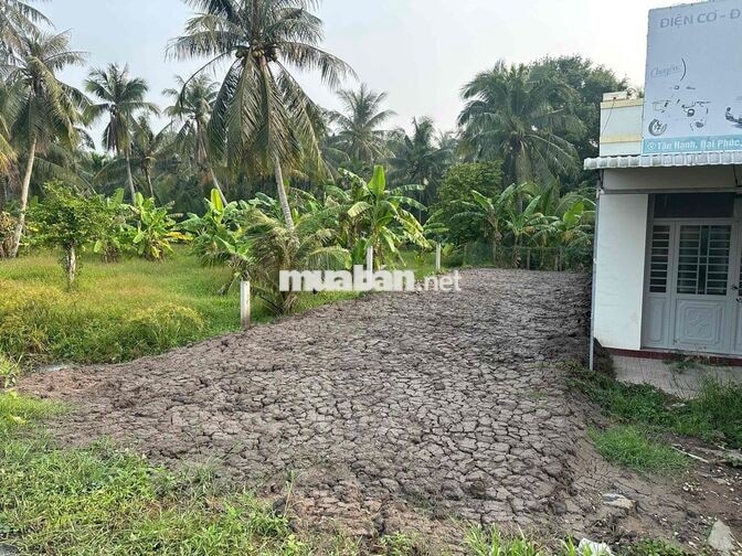 ĐẤT TRÀ VINH MẶT TIỀN NGUYỄN ĐÁNG