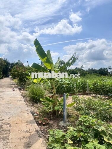 BÁN GẤP 275M2 GIÁ 590TR BAO SỔ, DÂN ĐÔNG, CÁCH TIỆN ÍCH TRUNG TÂM 200M