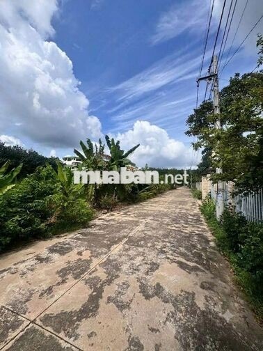 BÁN GẤP 275M2 GIÁ 590TR BAO SỔ, DÂN ĐÔNG, CÁCH TIỆN ÍCH TRUNG TÂM 200M