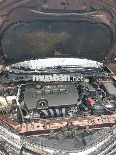 Toyota Altis 1.8 Tự động 2014 Nâu bstp 350tr