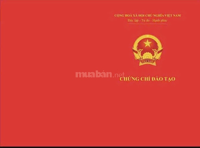 SANG NHƯỢNG KHÓA HỌC GỘI ĐẦU DƯỠNG SINH CHUYÊN SÂU - TIMONA ACADEMY (C